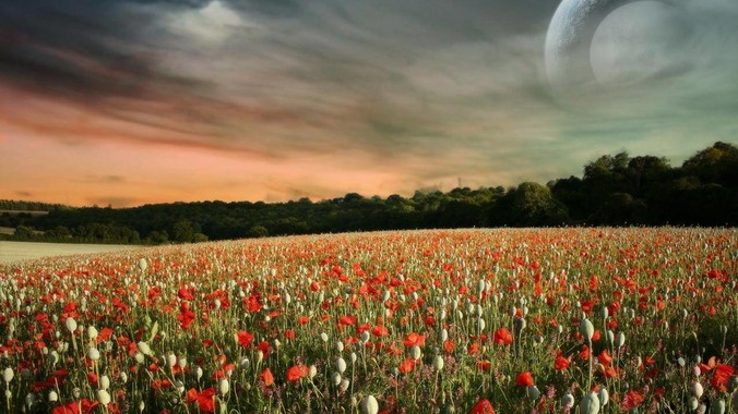 群晖 nas 有些什么基本和好玩的功能？ 造车将必须用锂电